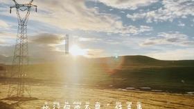 探索知识星球平台|《卿卿日常》一共多少集?全方位精彩内容